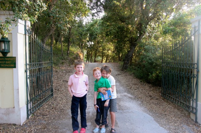 Our front gate (Villa Lenas)